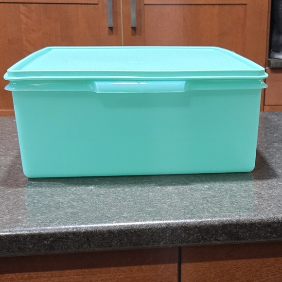 Tupperware Large Storage Tote - Picture 1 of 4